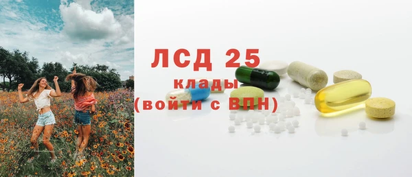 дмт Богородицк