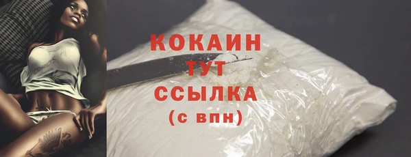 дмт Богородицк