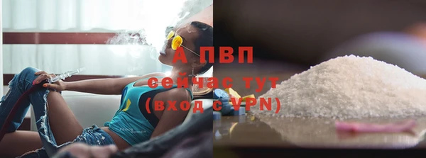 экстази Бородино