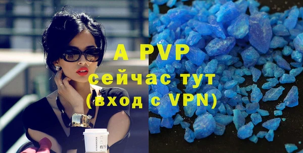 экстази Бородино