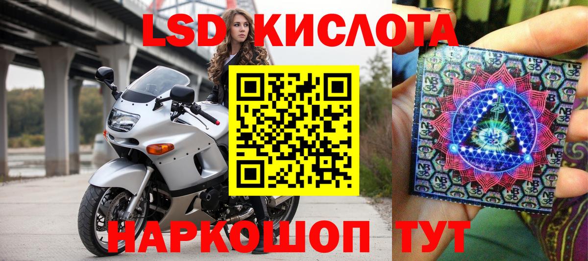 Наркотические марки 1500мкг Гусев