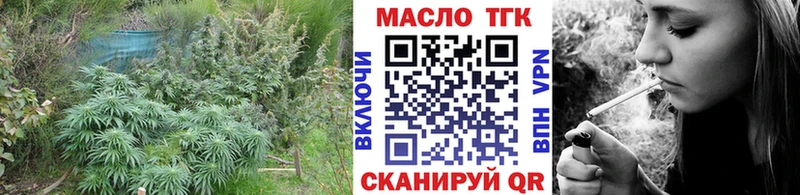 darknet как зайти Гусев Дистиллят ТГК THC oil