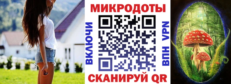 Псилоцибиновые грибы мухоморы  купить закладку  Гусев 