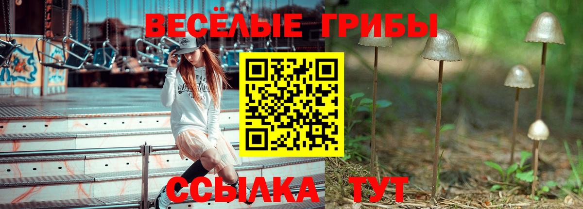 Псилоцибиновые грибы ЛСД  Вход с VPN  Гусев 