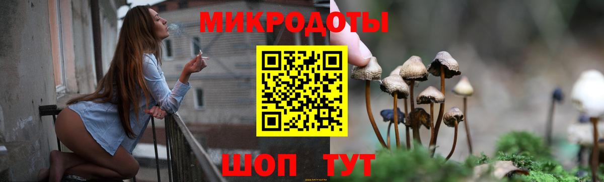 Псилоцибиновые грибы GOLDEN TEACHER Гусев
